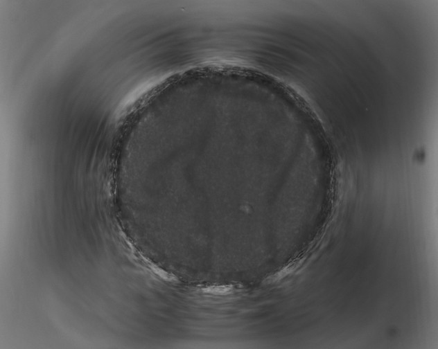 X0000116780919201001071234