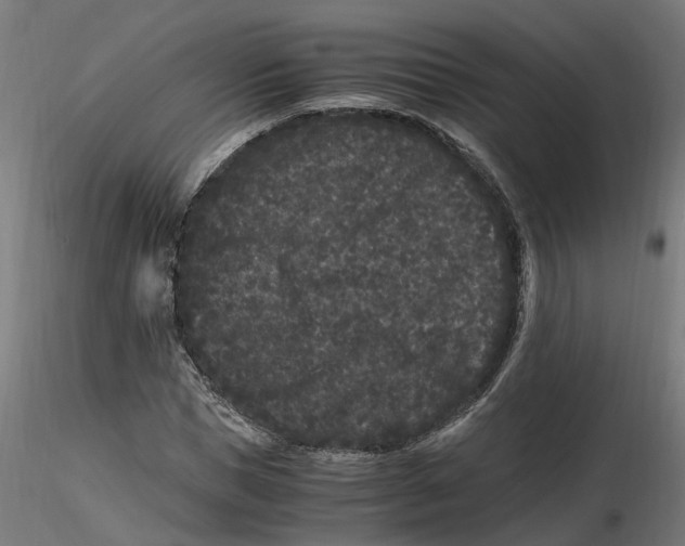 X0000116780921201001071234