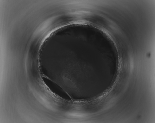 X0000116780923201001071234