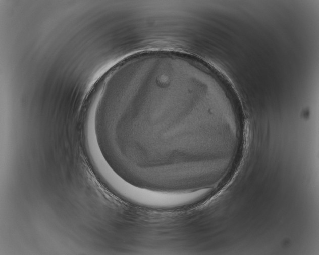 X0000116780925201001071234