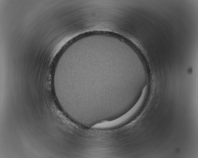 X0000116780926201001071234