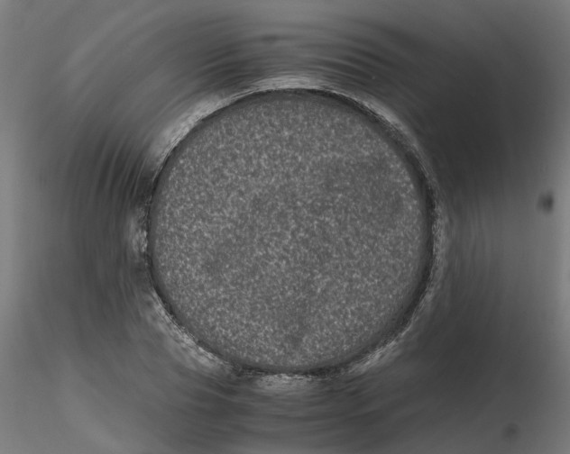 X0000116780929201001071234