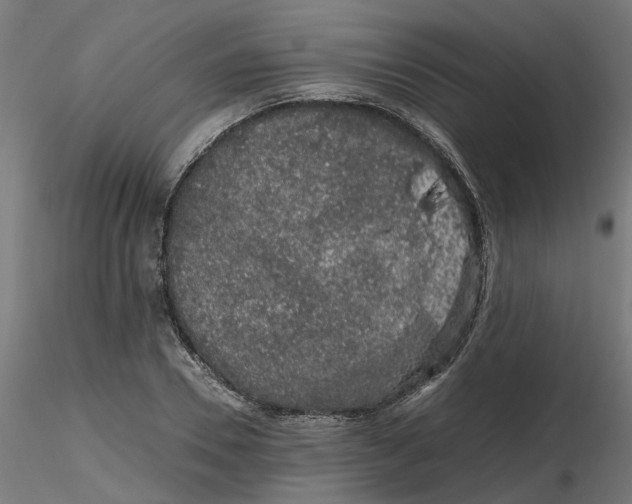 X0000116780930201001071234