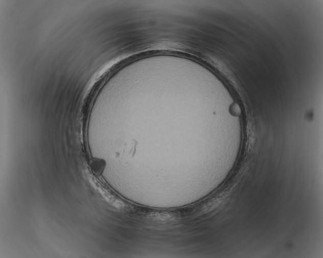 X0000116780931201001071234