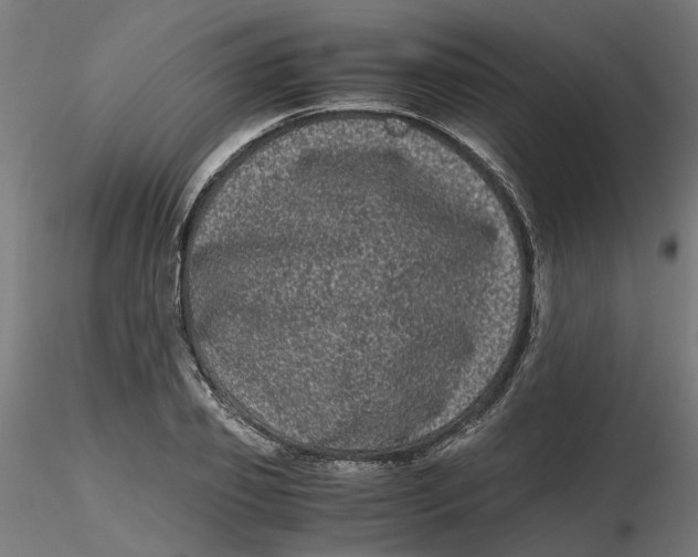 X0000116780933201001071234