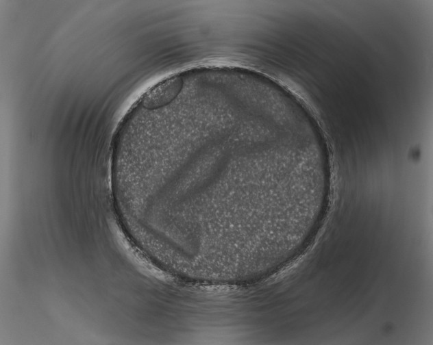 X0000116780934201001071234