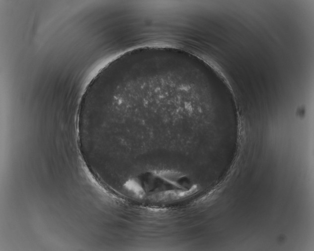 X0000116780935201001071234