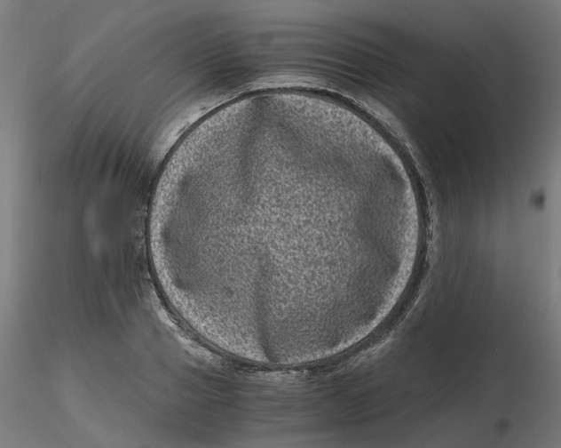 X0000116780937201001071234