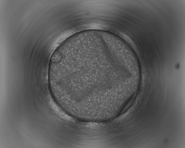 X0000116780938201001071234