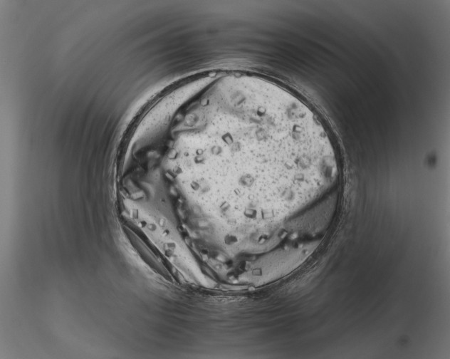 X0000116780939201001071234