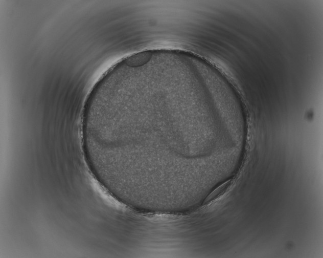 X0000116780942201001071234