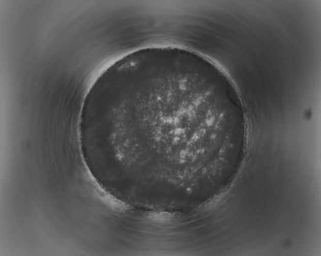 X0000116780943201001071234