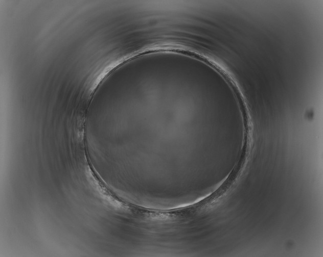 X0000116780945201001071234