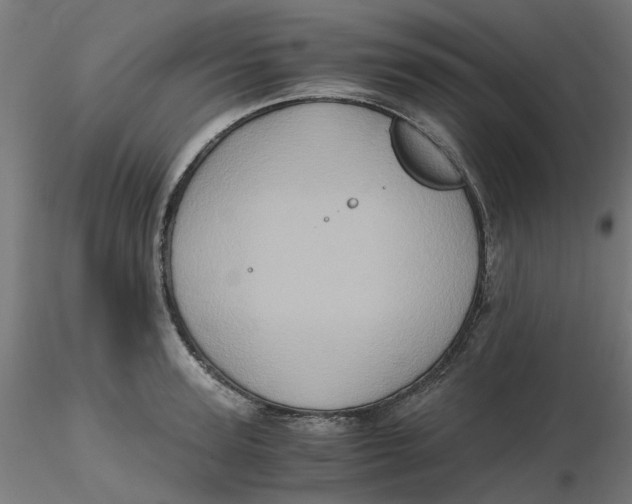 X0000116780947201001071234