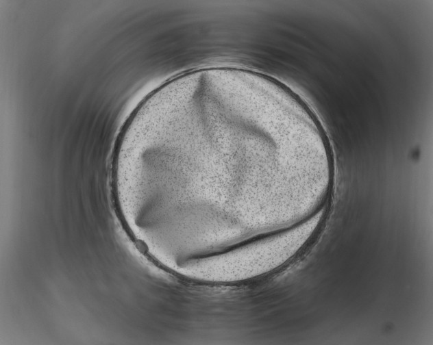 X0000116780949201001071234