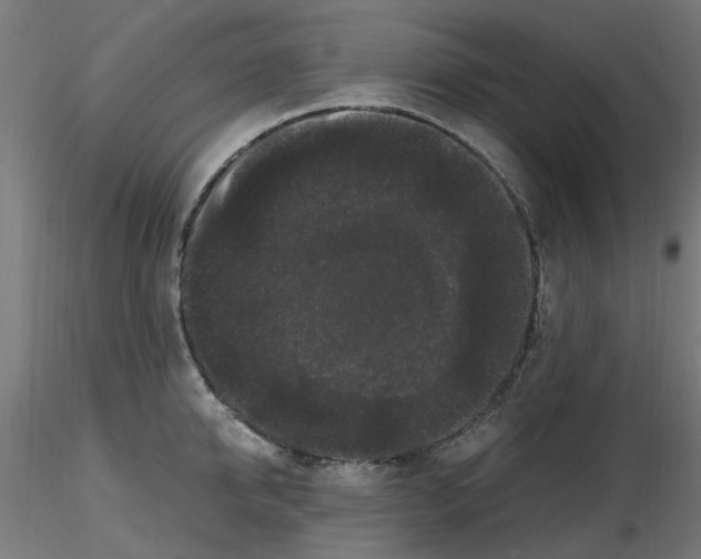 X0000116780950201001071234