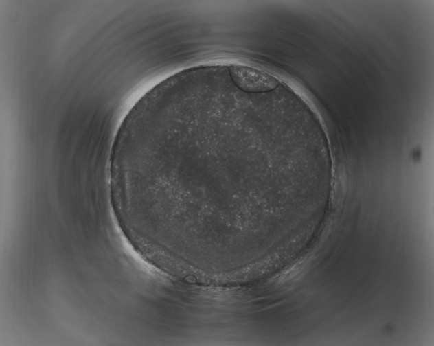 X0000116780951201001071234