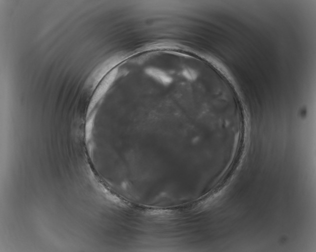 X0000116780953201001071234