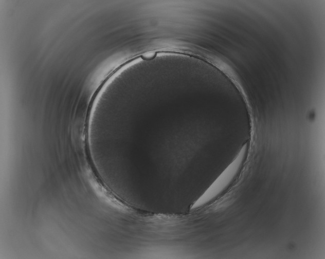 X0000116780954201001071234