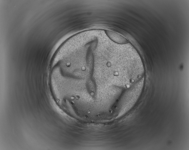 X0000116780955201001071234