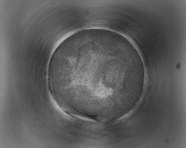 X0000116780957201001071234