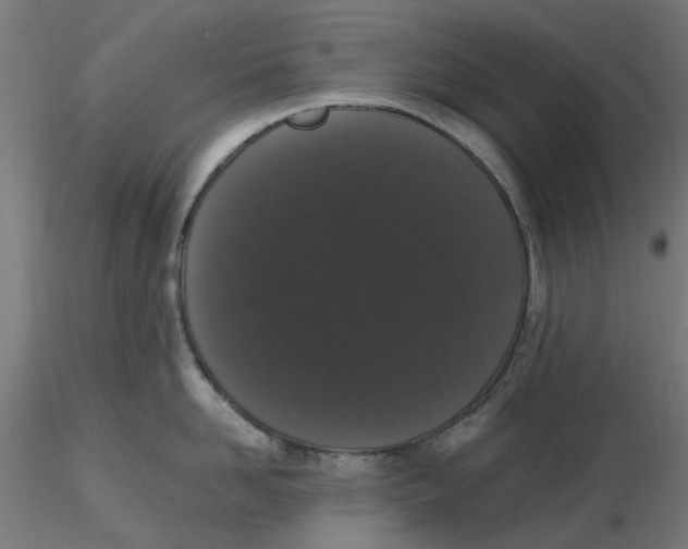 X0000116780958201001071234