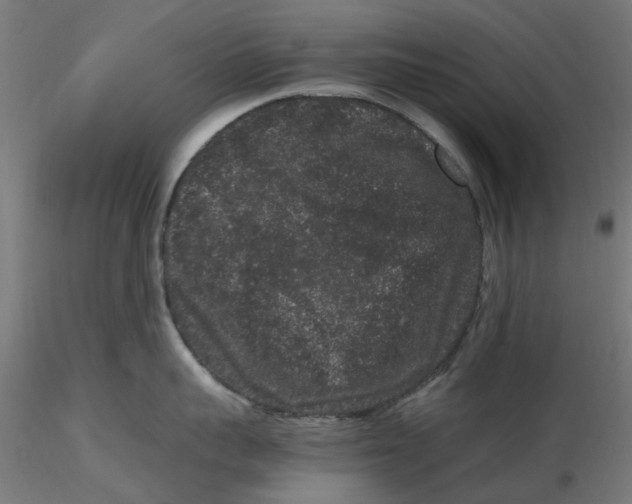 X0000116780959201001071234