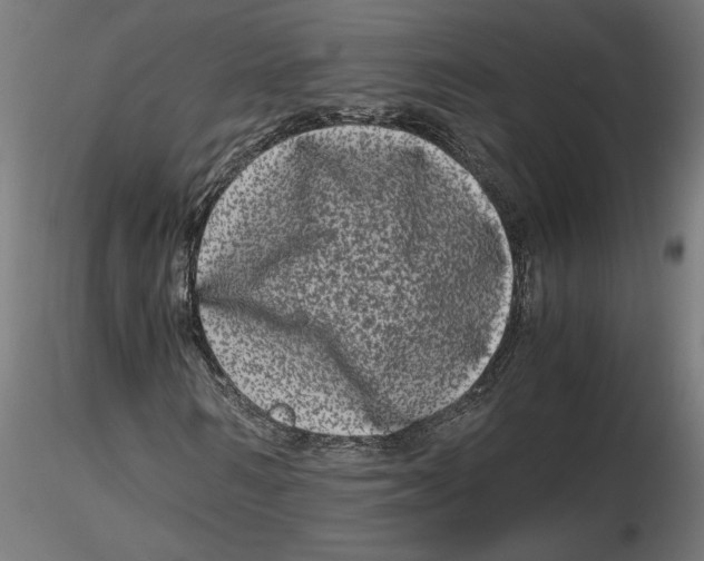 X0000116780962201001071234