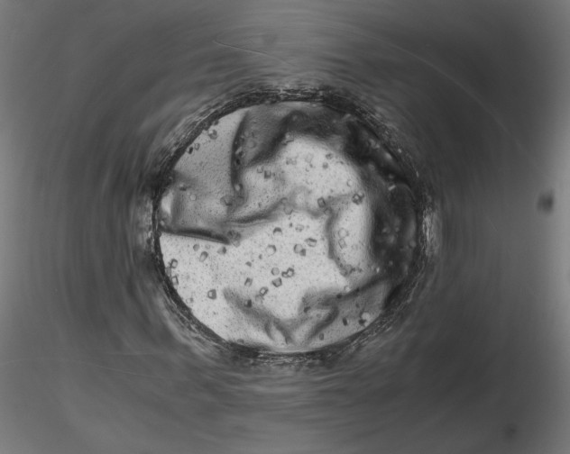 X0000116780963201001071234