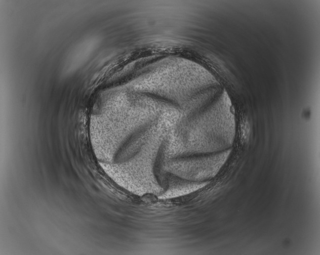 X0000116780964201001071234