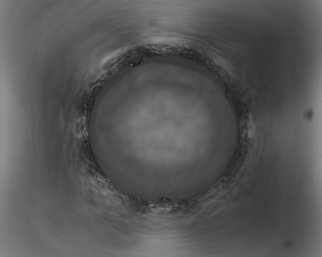 X0000116780965201001071234