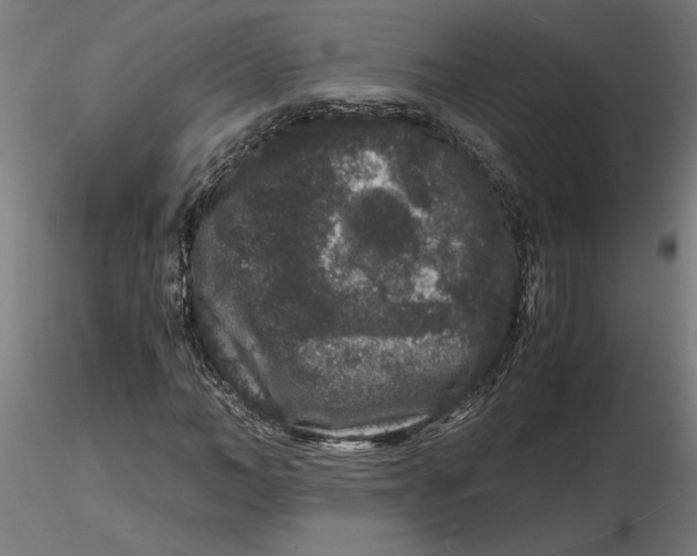 X0000116780966201001071234