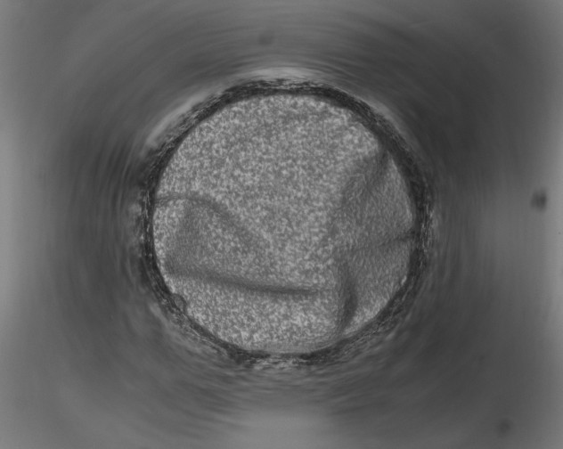 X0000116780967201001071234