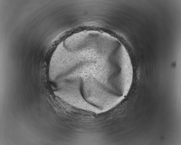 X0000116780968201001071234