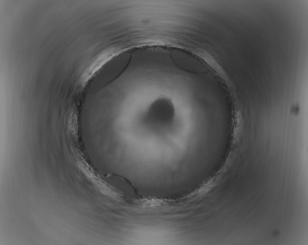 X0000116780969201001071233