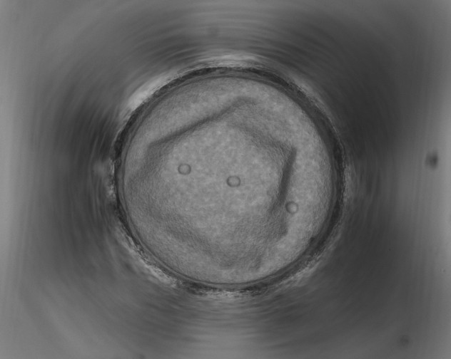 X0000116780970201001071233