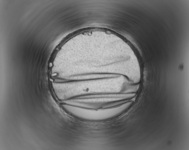 X0000116780972201001071233