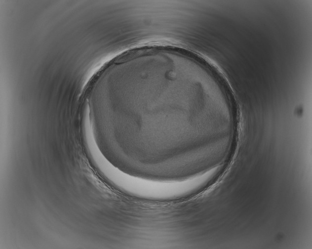 X0000116780973201001071233