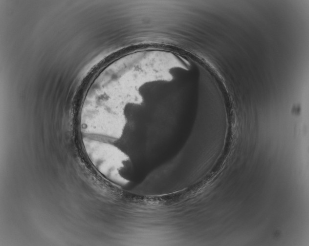 X0000116780975201001071233