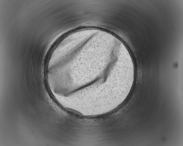 X0000116780976201001071233