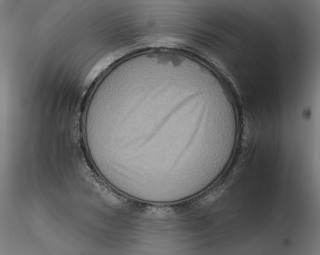 X0000116780978201001071233