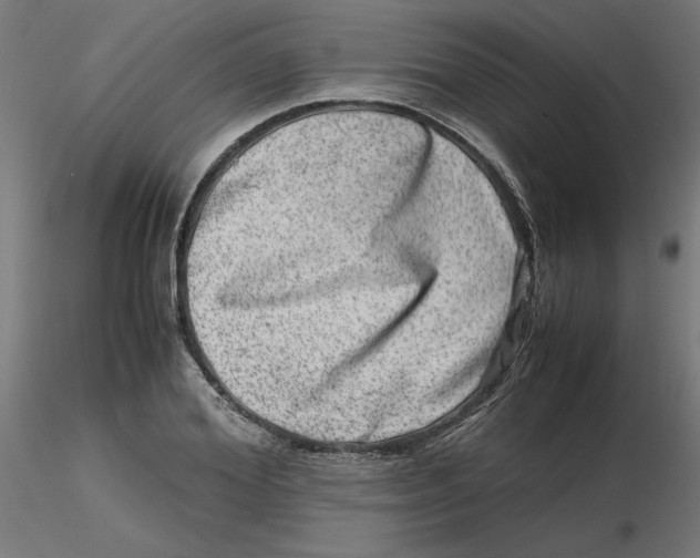 X0000116780980201001071233