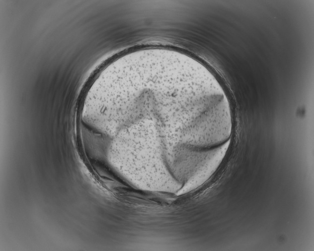 X0000116780984201001071233