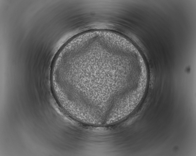 X0000116780986201001071233