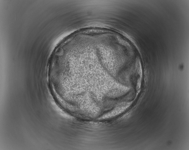 X0000116780987201001071233