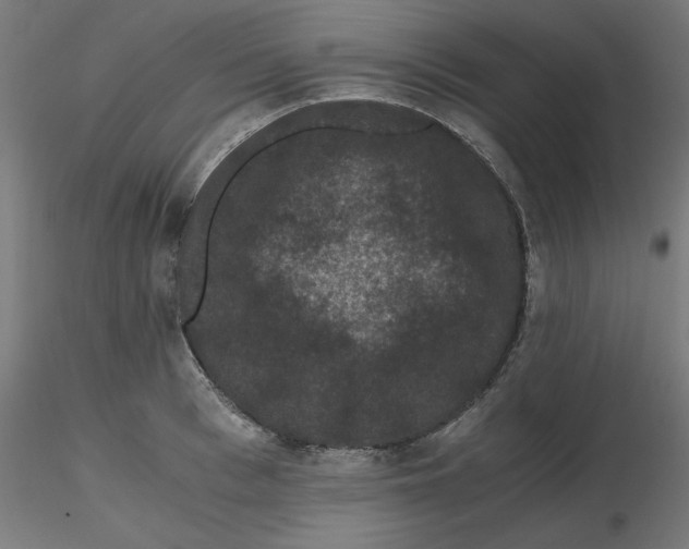 X0000116780993201001071233