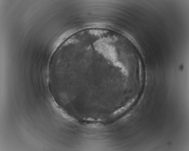 X0000116780994201001071233