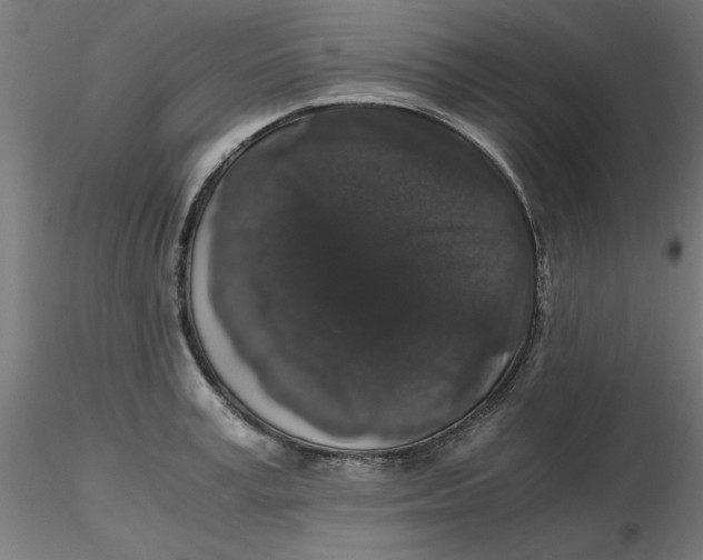 X0000116780995201001071233