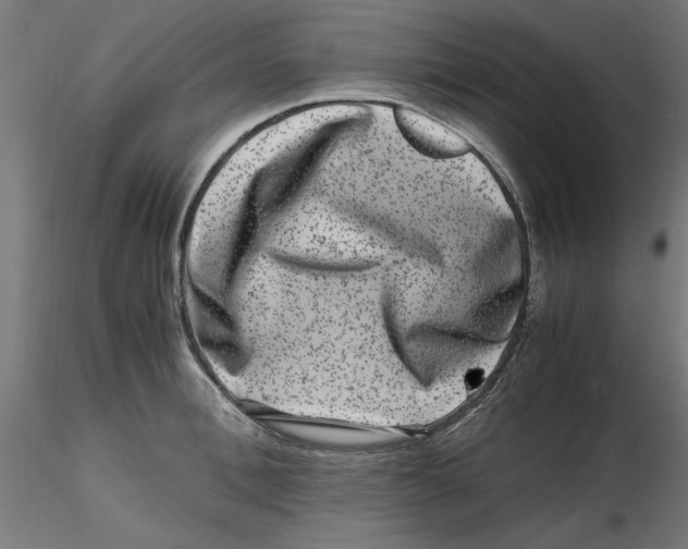 X0000116780996201001071233