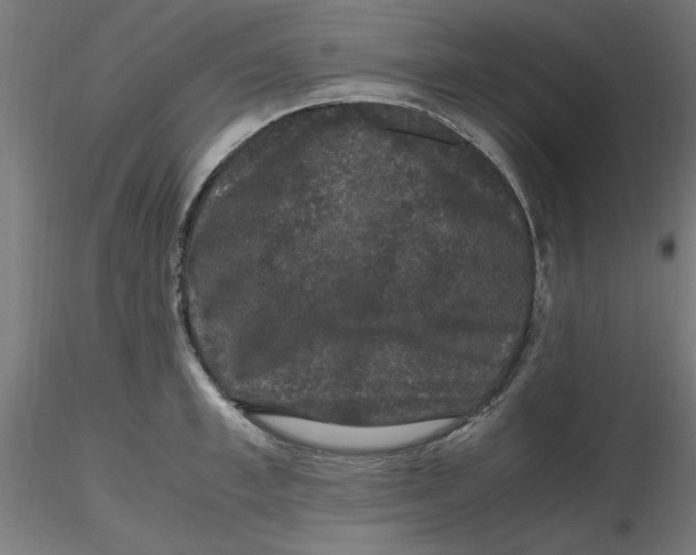 X0000116780997201001071233